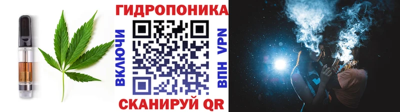 Canna-Cookies конопля Сковородино