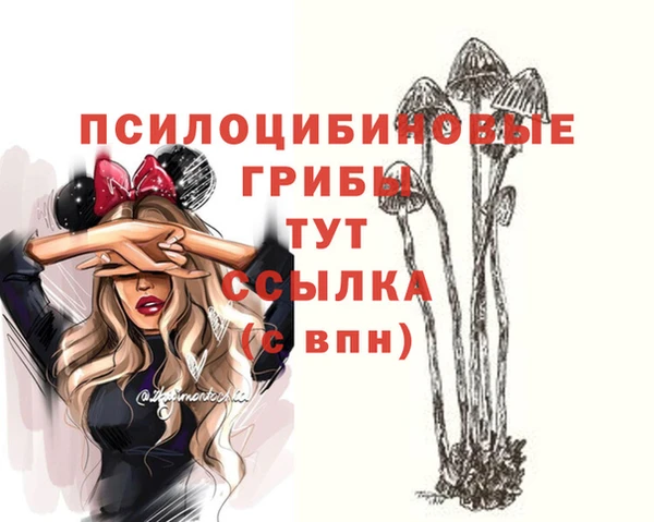 меф VHQ Инсар