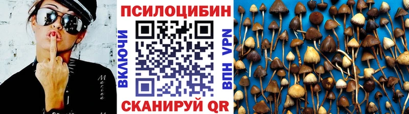 дарк нет клад  Сковородино  Псилоцибиновые грибы Magic Shrooms 